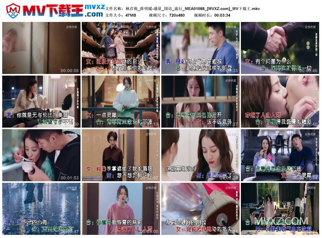 林彦俊_薛明媛-盛夏_国语_流行_MEA01088